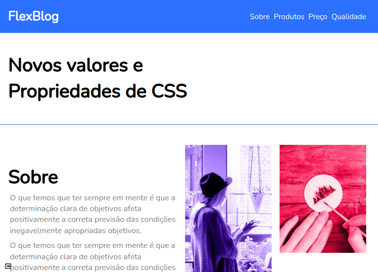 FlexBlog